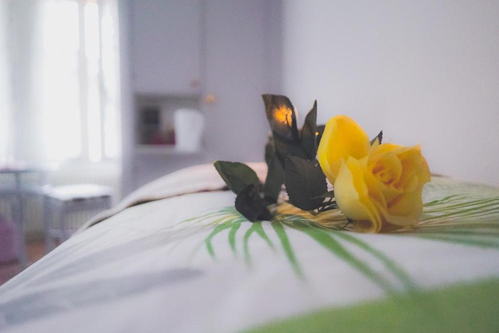 Därligen Dreierzimmer מראה חיצוני תמונה